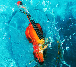 Fiddle