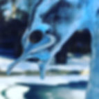 Ice Bird