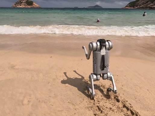 Quadrupedal robots on challenging terrains