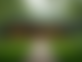 Discover the Art of Nature Conservancy and Luxury Living