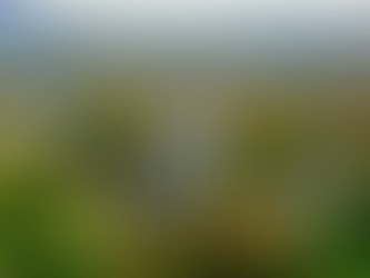 Laos vacation Southeast Asia