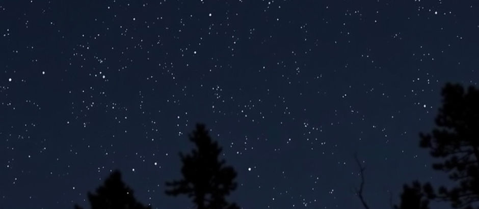 My Favorite Things - Katie Yelink