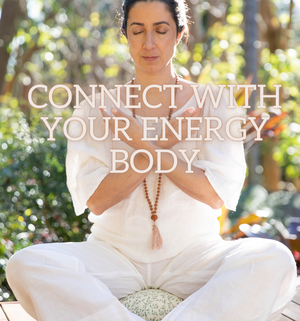 Energy Body Workshop with Karin