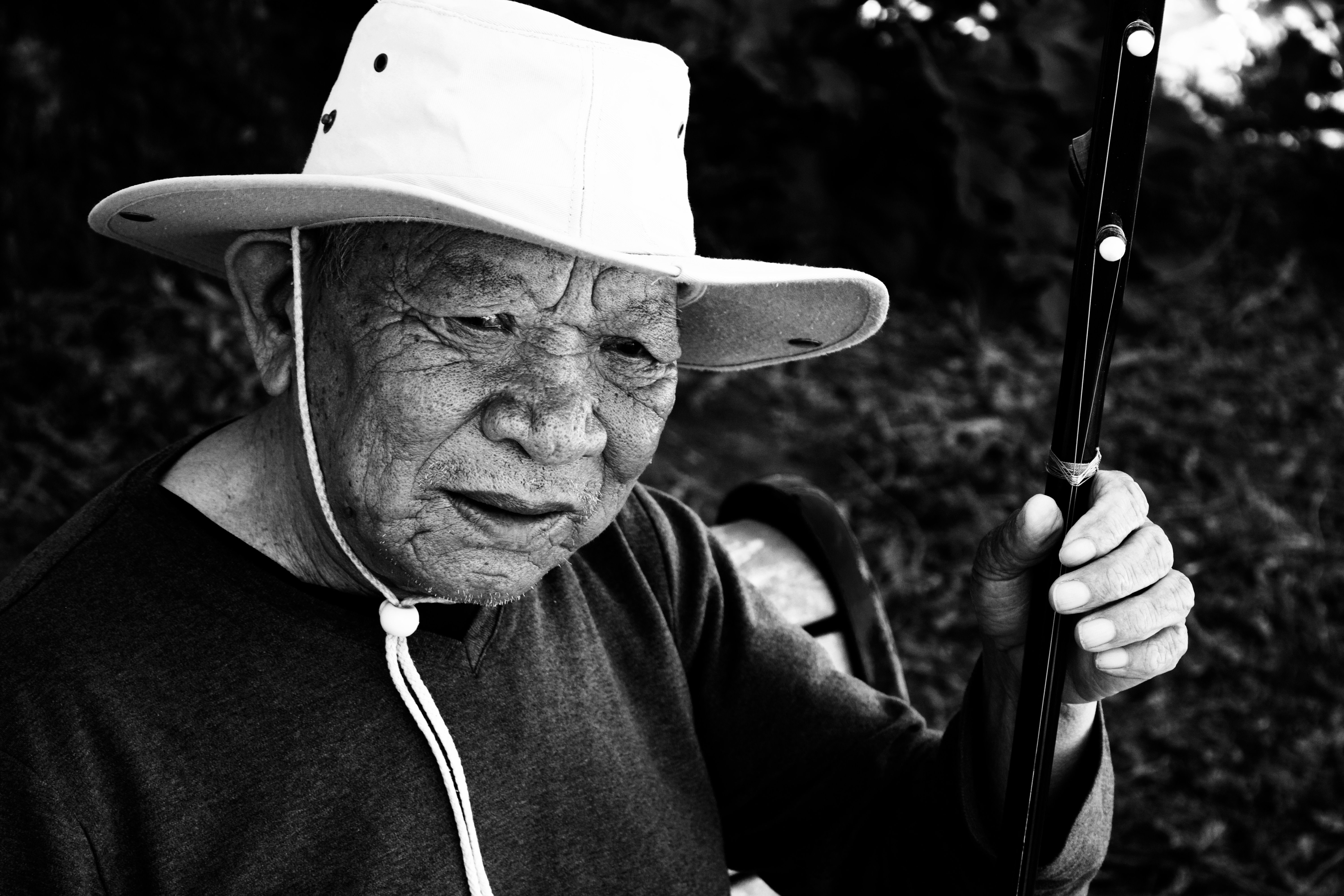Chinese VIolin. Palace of Fine Arts. San Francisco
