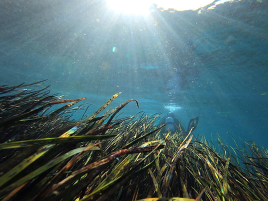 rainbow river 11919.jpg