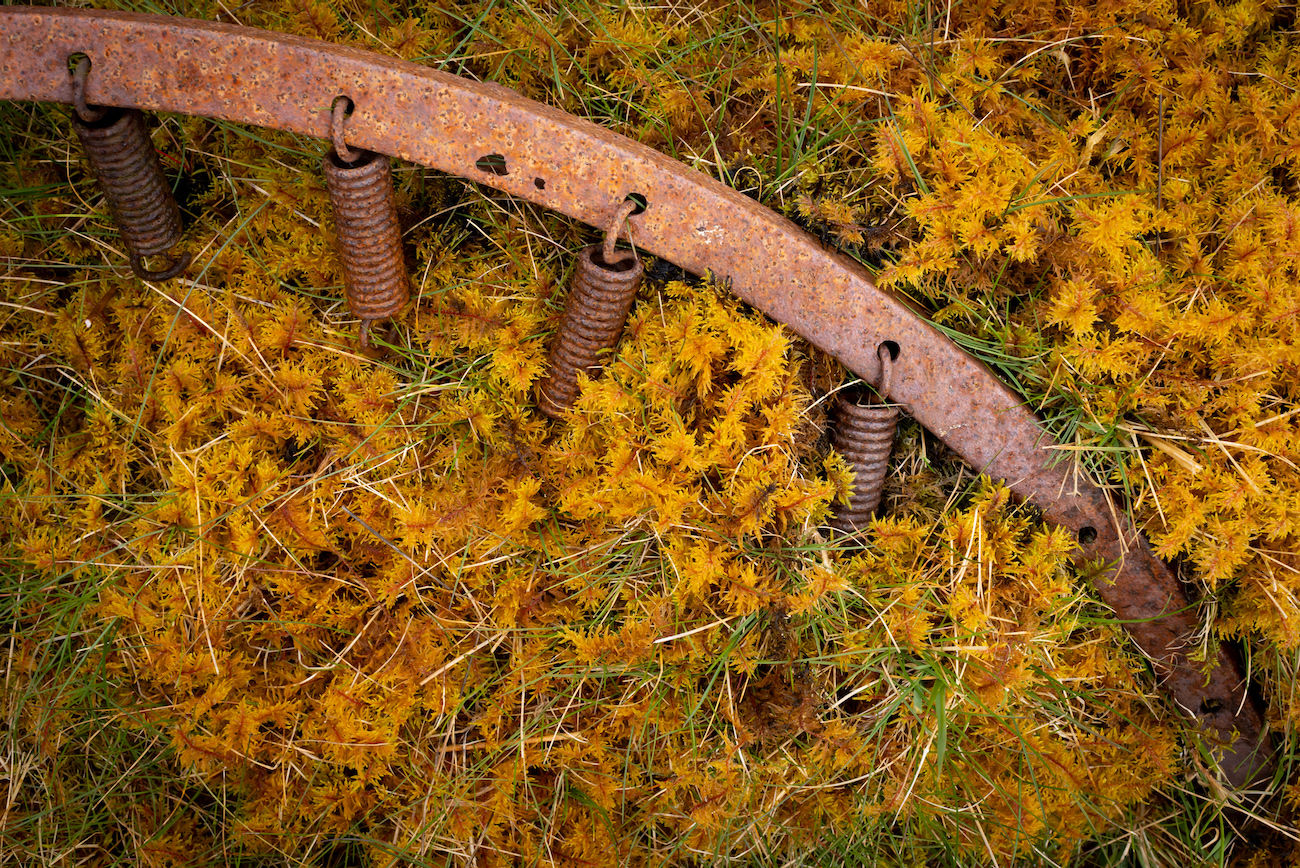 Spring Photo Holiday (Deposit)