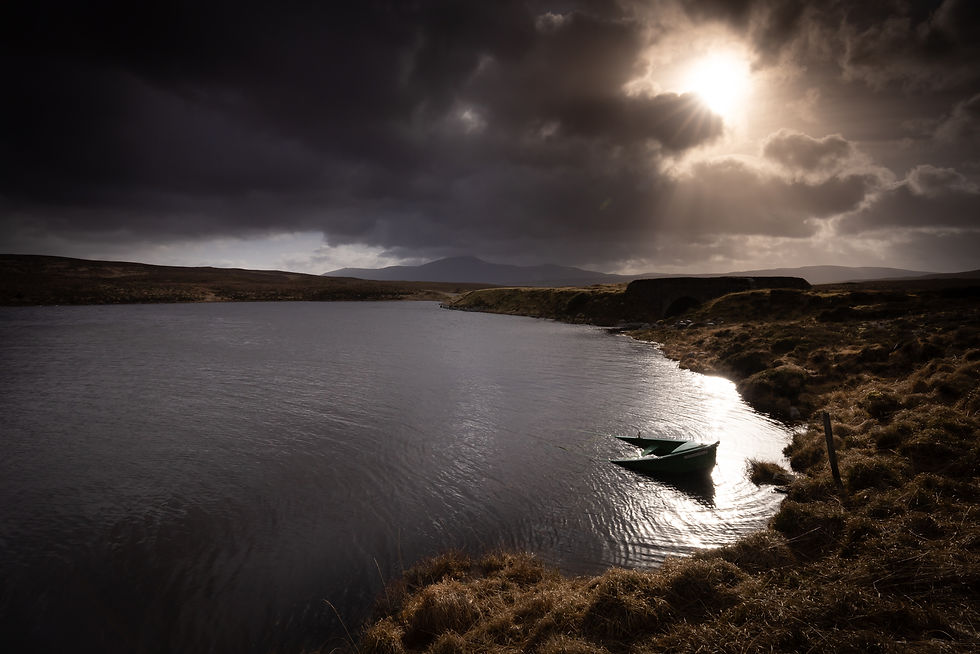 DS1-Altnahara road- February-autumn-120022023-3960.jpg