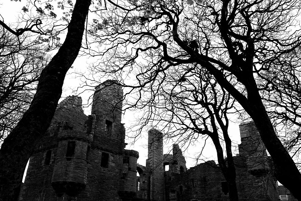 ds1-kirkwall bishops palace-orkney-spring-1170425-8222