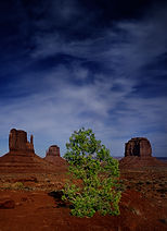 1979_05_Navajo Monument with Big Sky - 3
