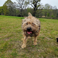IMG_20190416_145233 (2)_edited.jpg