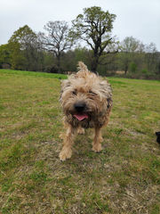 IMG_20190416_145233 (2).jpg