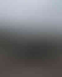 Black Chevrolet Corvette C5 Widebody Kit Wide and Wild Brand