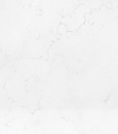 Marble Surface_edited.jpg