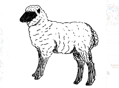 Watson Woolen Company 128 South First