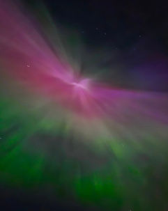 Jackson Faulkner Northern Lights