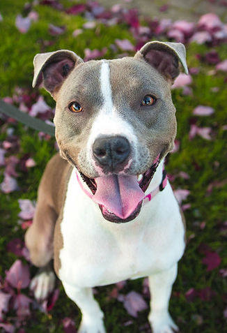 justin-veenema-_c_I5GMZYR0-unsplash_edit