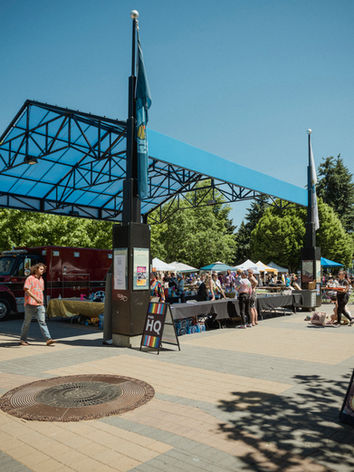 Nanaimo Park during pride