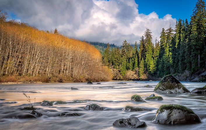Autumn along Queets River, Olympic Peninsula, Washington State.jpg
