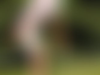 基本姿勢1(アドレス) ➡️🈁