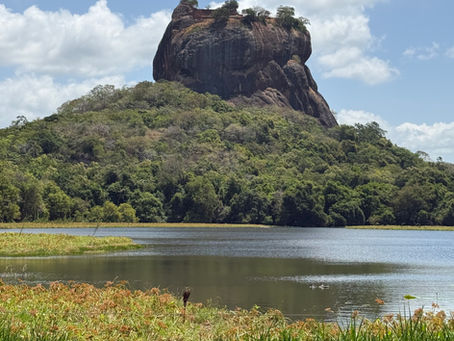 How we flew our family of five to Sri Lanka in business class using Avios