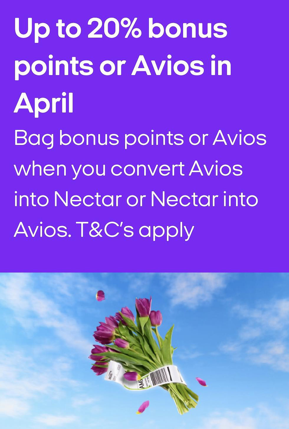 Nectar and Avios are Running an Easter Bonus This April, and It Works Both Ways