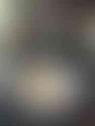 Poached lobster at the Al Safwa