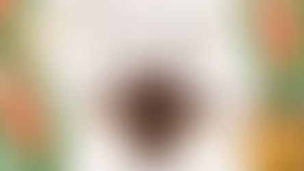 Inventário de Predadores Domésticos: a mente dos monstros escondidos pelos cômodos da casa | Resenha