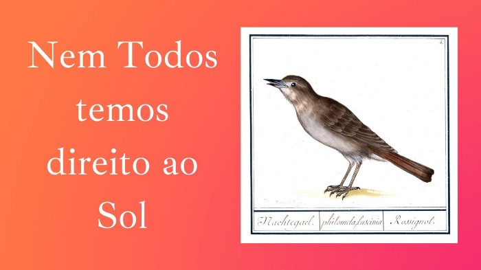 Nem Todos Temos Direito ao Sol | O Sol é Para Todos| Resenha