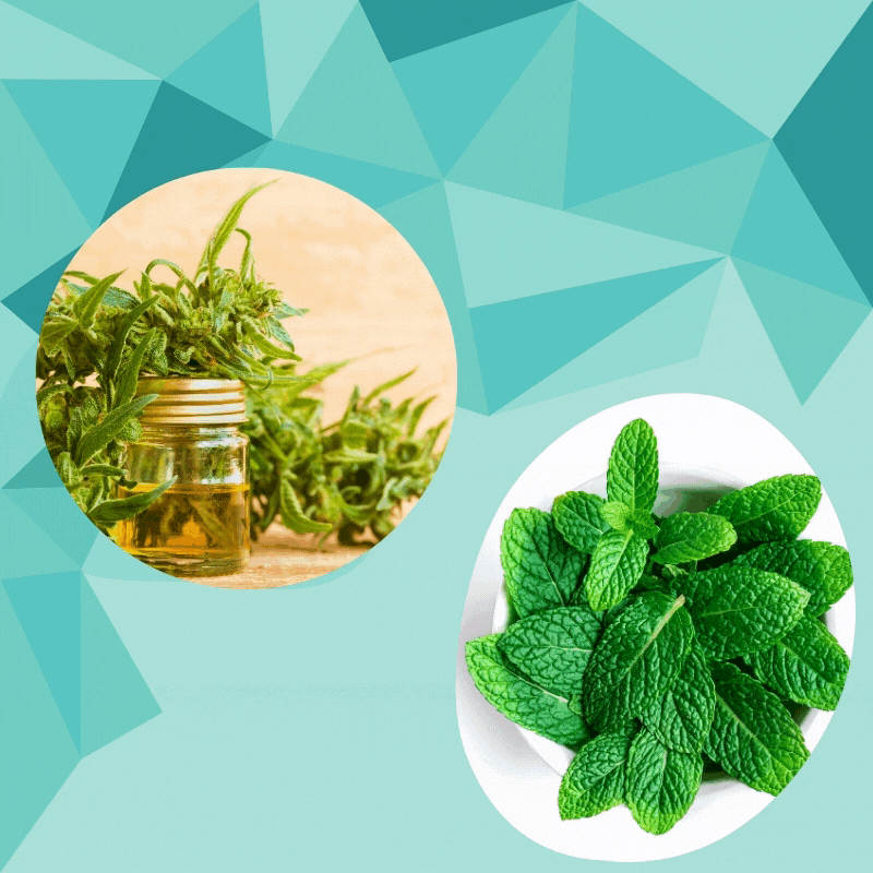 Copia de Copia de Cbd + mint.gif