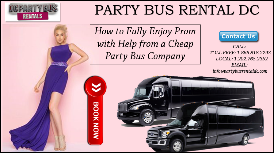 Cheap Party Bus Company