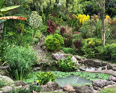 Seri Green Telang 18 Hulu Langat