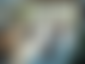 Optimizing Operational Governance for Mid-Sized Firms