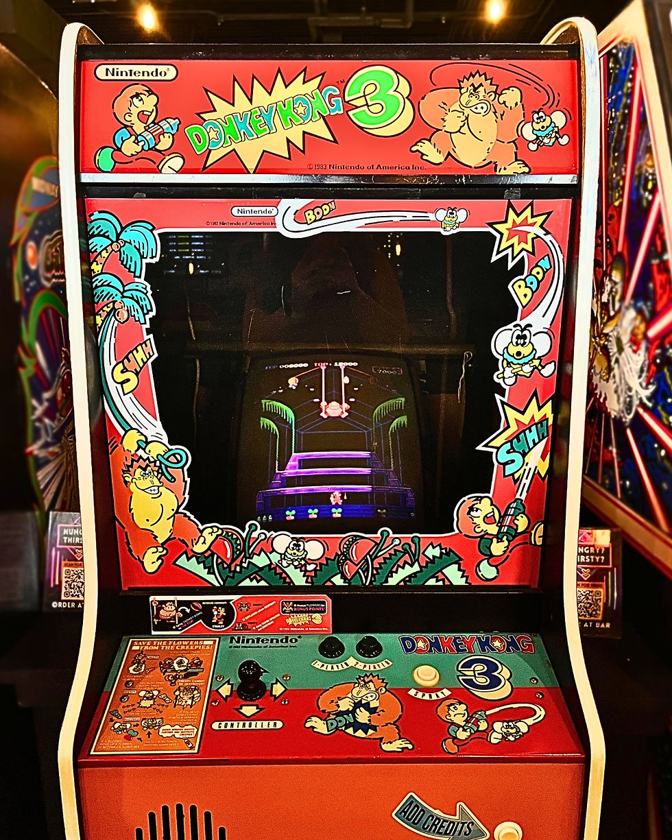 Donkey Kong 3 at Arcade 92
