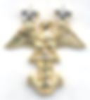 CADET MASTER CHIEF PETTY OFFICER (C/