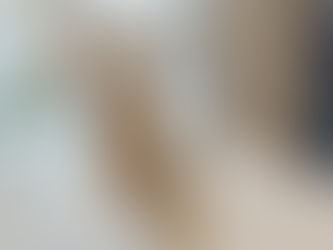 新しいおやつ入りました🐶🍪