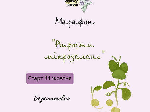Марафон "Вирости мікрозелень"