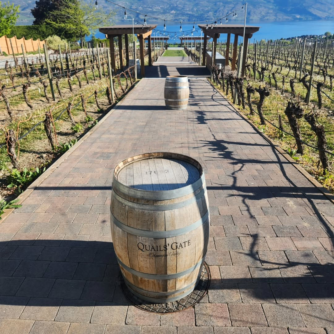 Vineyard Retreat
