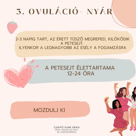 3. Ovuláció - Nyár