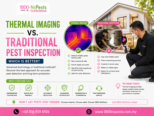 Thermal Imaging vs. Traditional Pest Inspection
