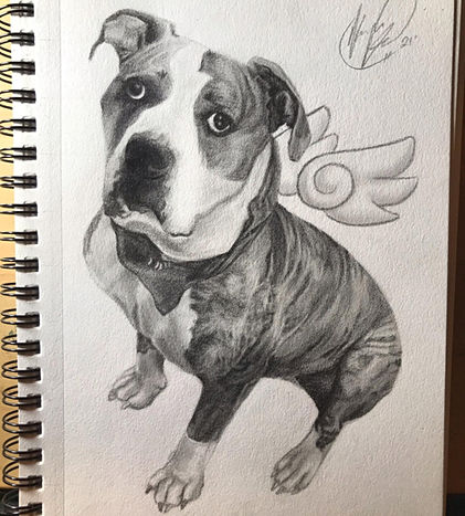 sketch, dog, portrait
