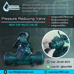 plastic PRV.jpg