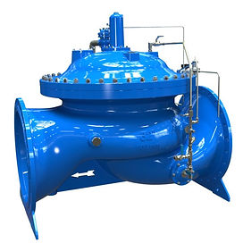 Surge valve WW-735-55-M5L.jpg
