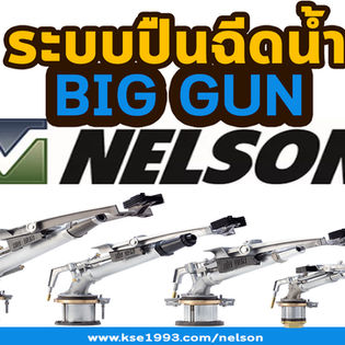 ปืนฉีดน้ำระยะไกล Nelson Big Gun