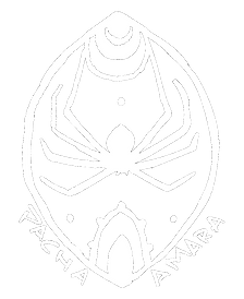 pacha amara logo branca.png