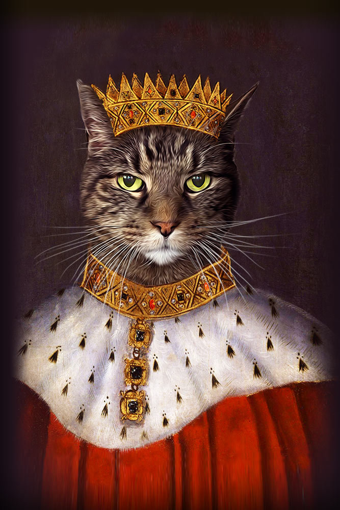 King Henry Of England The Renaissance Pet