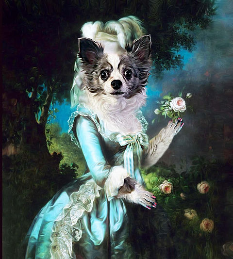 Pet a Portre (ペット ア ポルテ) Antoinette Pet a Portre ペット・ア