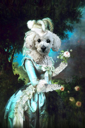 Marie Antoinette with Flower | The Renaissance Pet