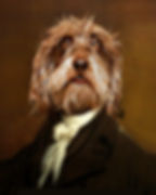 Classic Alexander Hamilton painting redone to show a shaggy brown dog