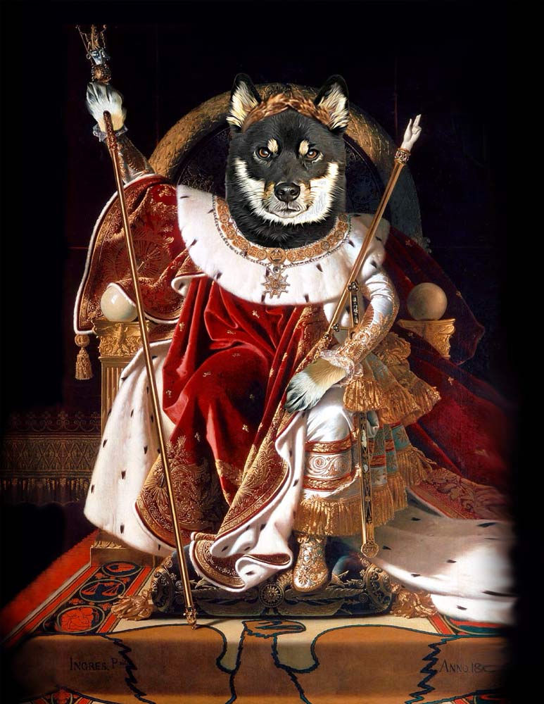 Thumbnail: Dog on a thrown and photoshopped into as a king holding a golden staff.