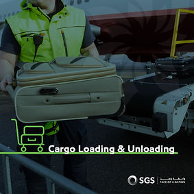 SGS Starter Posts-02.jpg